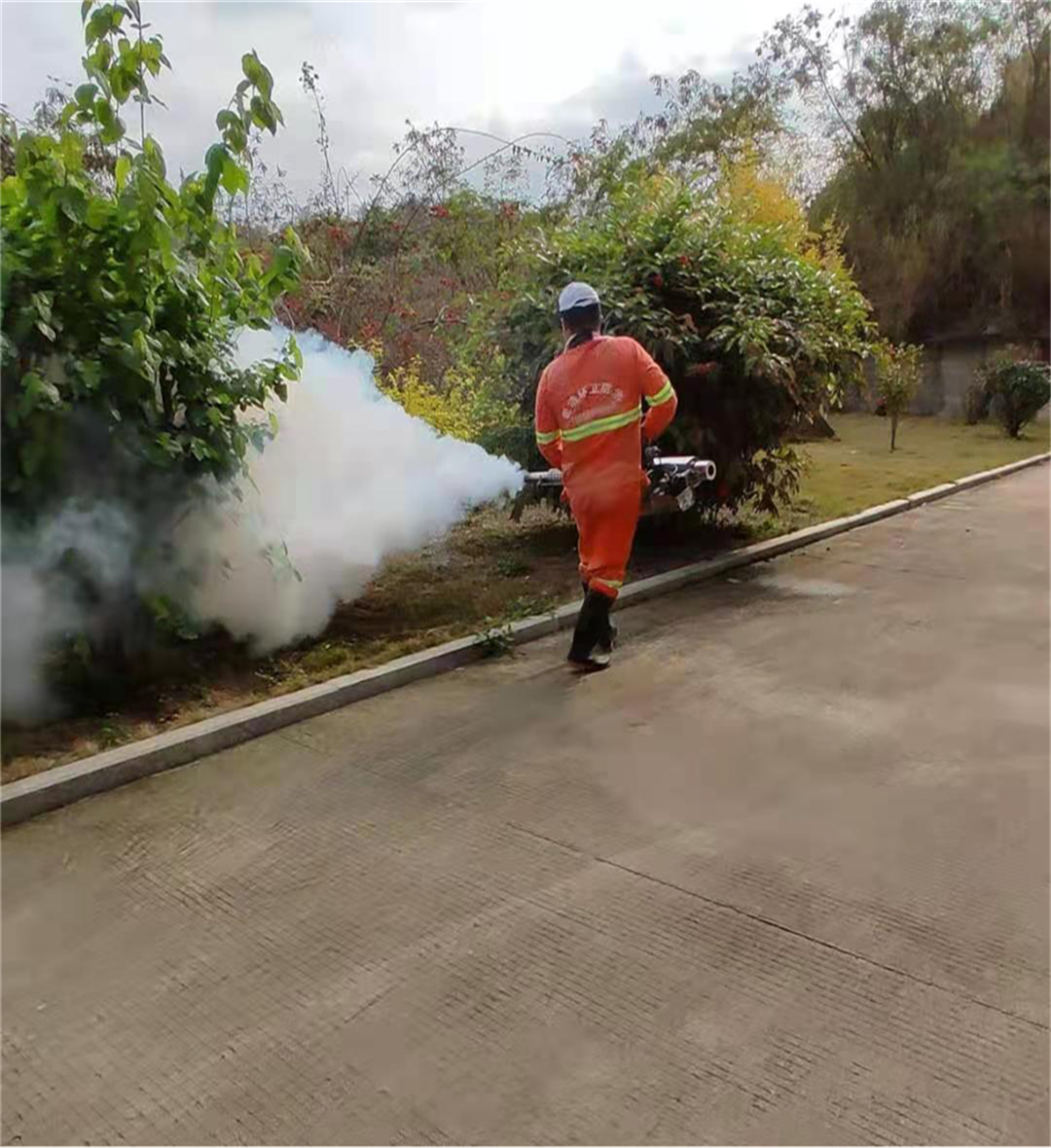 花圃中花草消毒.png 花圃中花草消毒.png