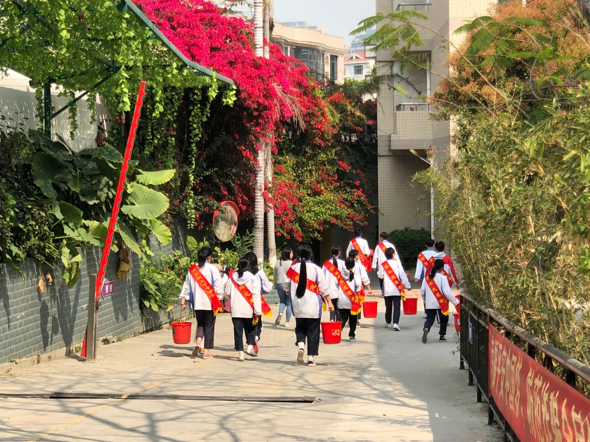 植树活动.jpg 植树活动.jpg